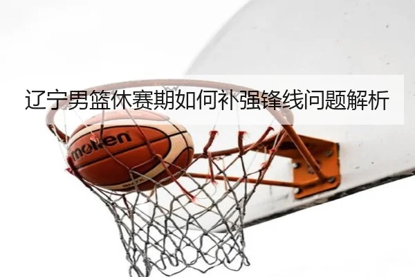 辽宁男篮休赛期如何补强锋线问题解析